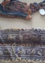 ImageUploadedByTreasureNet.com1438653738.718216.webp ImageUploadedByTreasureNet.com1438653738.718216.webp