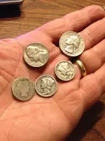 Last weeks finds.webp