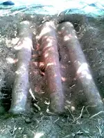 Cannons.webp
