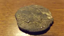 Unknown2.webp
