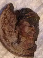 ImageUploadedByTreasureNet.com1440808156.632327.webp ImageUploadedByTreasureNet.com1440808156.632327.webp