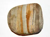 DSCN0748.webp