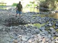 DSCF0017.webp