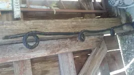 20150803_160413.webp