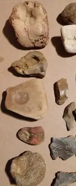 3finds.webp