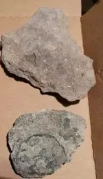 4finds.webp