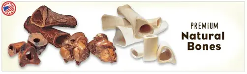 bones.webp
