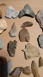 5 finds.webp
