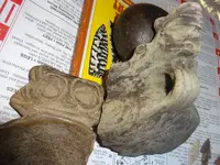 estate sale 034.webp