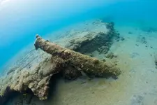 St-Eustatius-Underwater006.webp