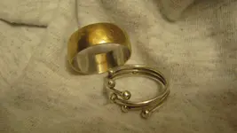 Two Crowns Junk Rings, Great Razor August 10 2015 004.webp