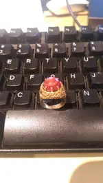 ring 4.webp
