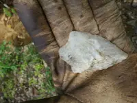 20140922_143639.webp