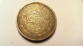Back $100 dolllat peso.webp