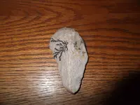 DSCF3337.webp