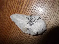 DSCF3341.webp
