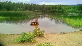 mud lake 1.webp