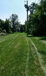 20150828_125152_resized-crop.webp