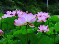 021.webp 021.webp
