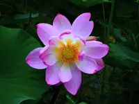 024.webp