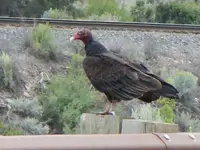 DSCN1959.webp