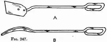 fig247.webp