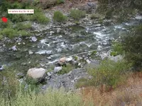 redIMG_0009.webp