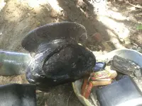 150804_004.webp