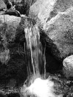 DSCN1544.webp