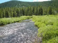 DSCN1507.webp