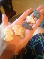 ImageUploadedByTreasureNet.com1437524037.965927.webp