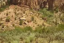 IMAG0004.webp