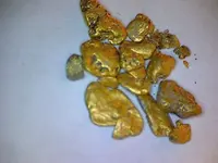 JAMEY'S GOLD8-2012.webp