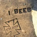 Beeb.webp