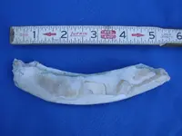 DSC00850.webp