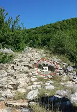 20150729_1008312.webp