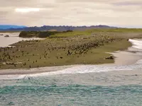 DSCN8896.webp