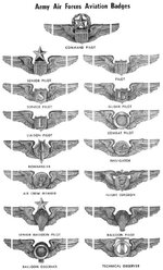 USAAF-wings.jpg