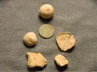 ImageUploadedByTreasureNet.com1438741715.561626.webp