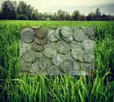 thHRA9H9XM.webp