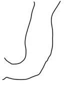 curtain.webp