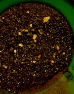 1440816781301-WY.webp