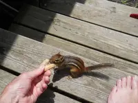 DSCN2338.webp