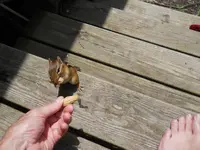 DSCN2339.webp