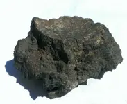 IMAG0510.webp