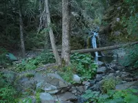 169_6908.webp