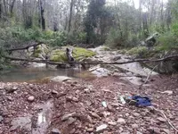 1439333569375.webp