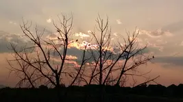 smokey sunset.webp