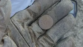 shield in hand.webp