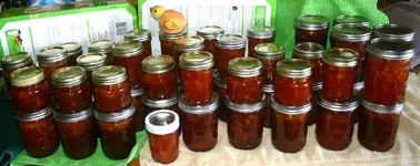 canned peaches 2015.webp